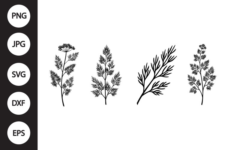 Dill Herb SVG, Dill Herb Clipart