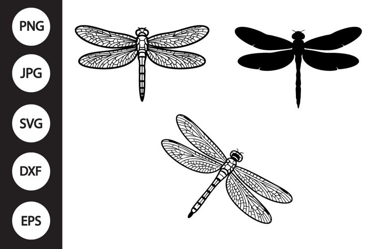 Dragonfly Clipart Image 2