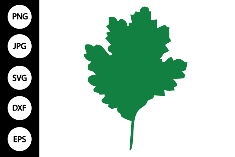 Leaf Silhouette Image 10