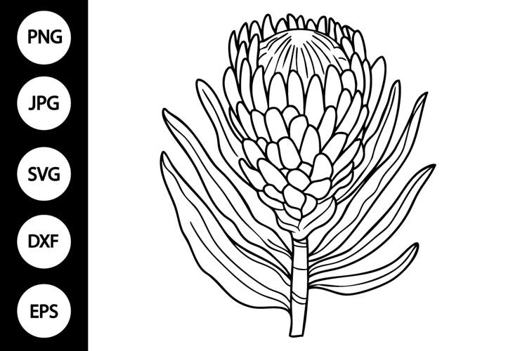 Flower Outline Clipart Image 21