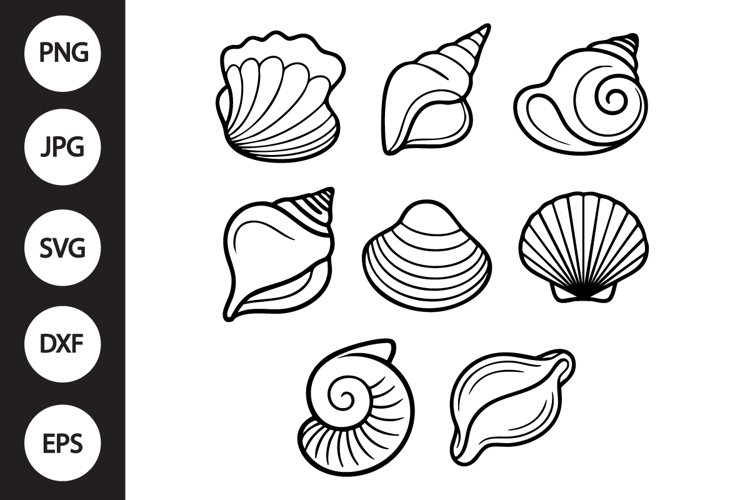 Seashell Vector Image 2
