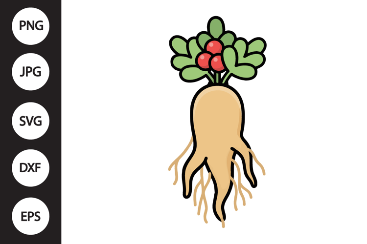 Ginseng SVG