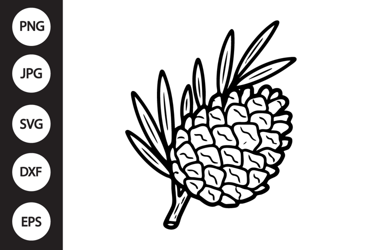 Pinecone with Leaves SVG