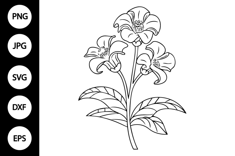 Flower Clipart Black And White Image 24