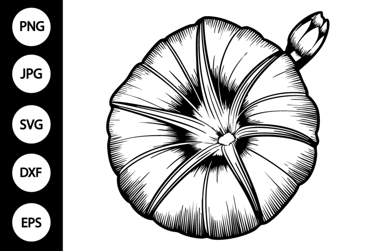 Outline Morning Glory Flower SVG example image 1