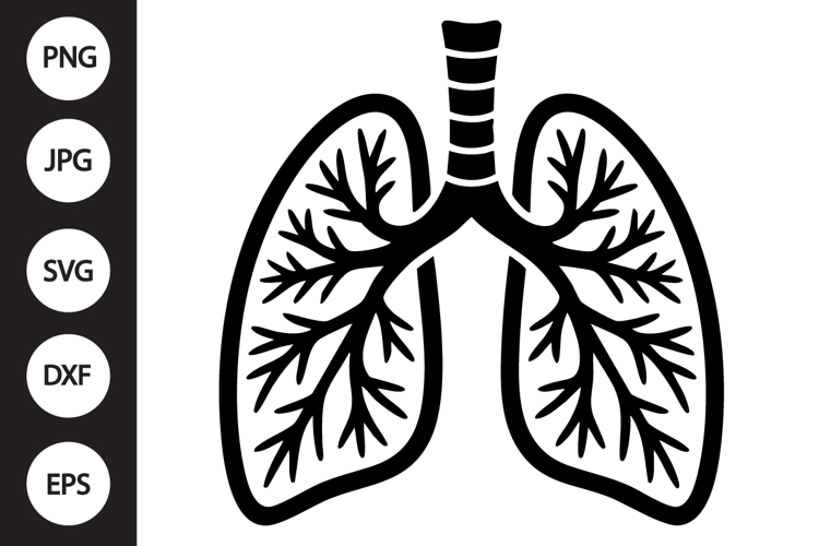 Lungs Clipart Image 2