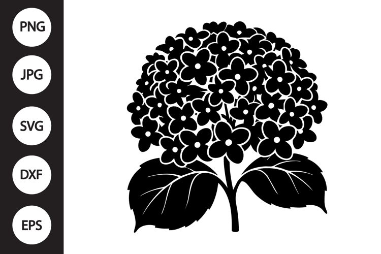 Hydrangea Clipart Image 5