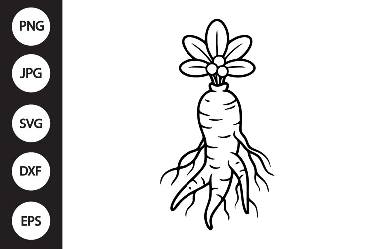 Ginseng SVG example image 1