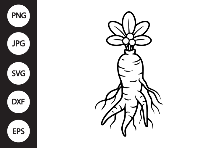 Ginseng SVG