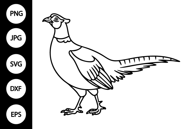 Pheasant Outline SVG, Coloring Page