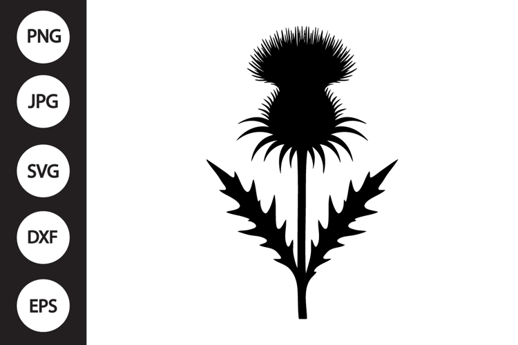 Scottish Thistle SVG example image 1