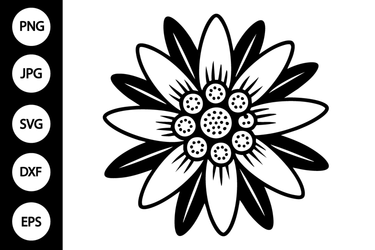 Edelweiss Flower SVG