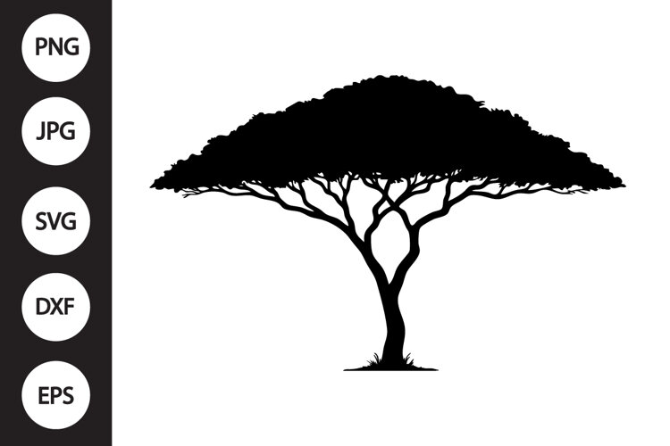 Acacia Tree SVG example image 1