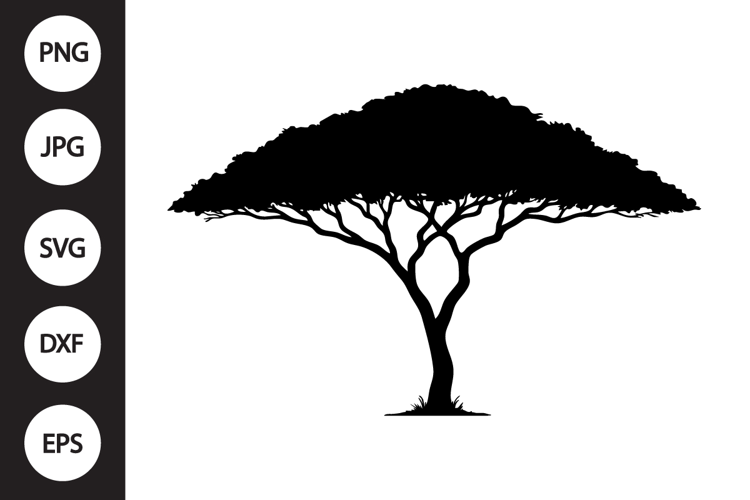 Acacia Tree SVG