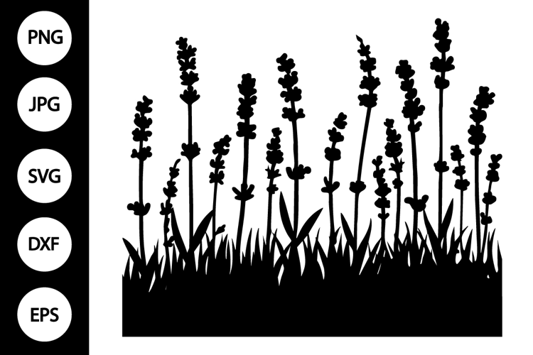 Silhouette Lavender SVG