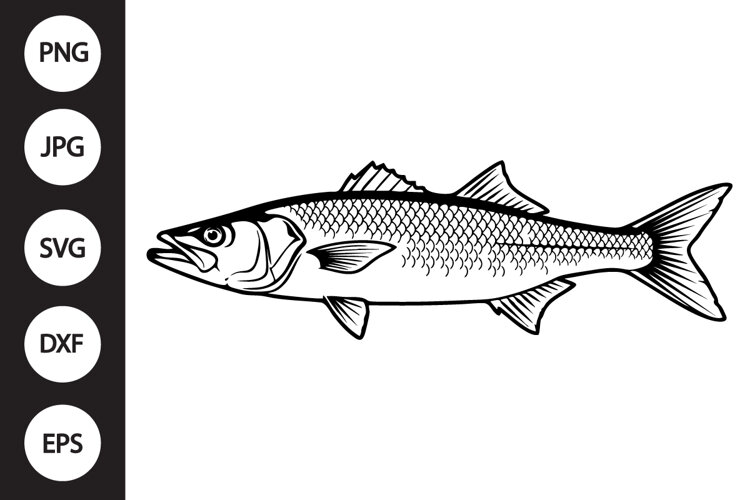 Barramundi Fish SVG example image 1