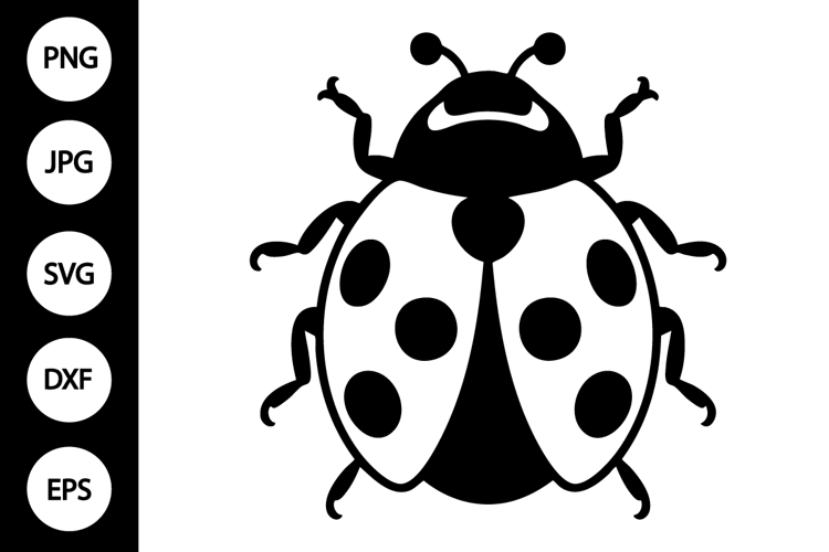 Ladybug Clipart Image 11
