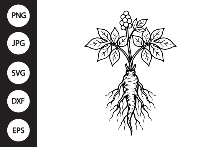Ginseng SVG