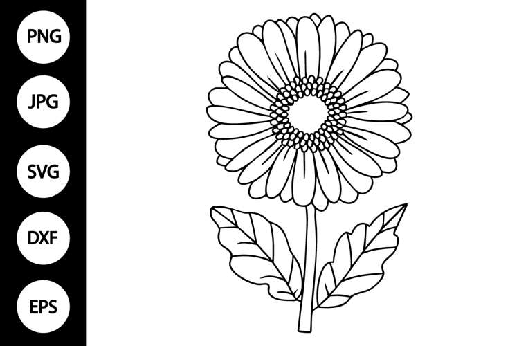 Flower Clipart Black And White Image 6