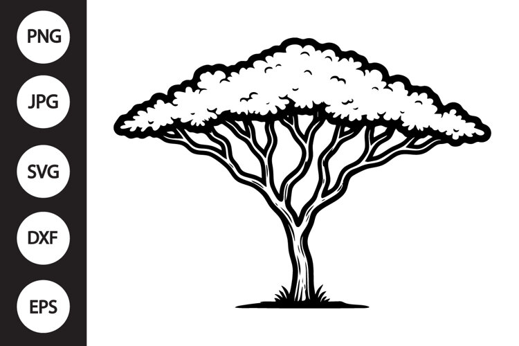 Acacia Tree SVG example image 1