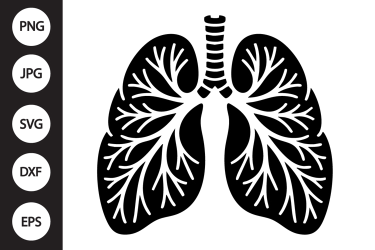 Lungs Clipart Image 4