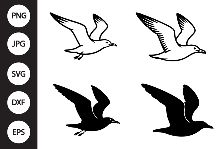 Seagull Clipart