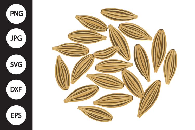 Fennel Seeds SVG