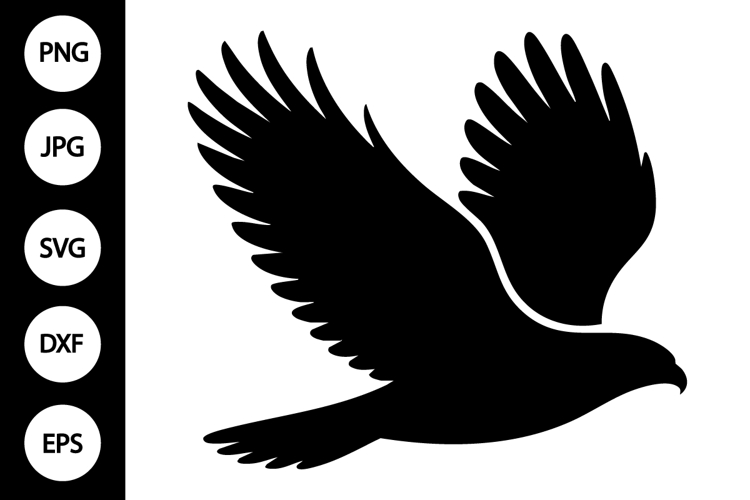 Hawk Clipart Image 14