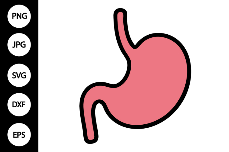 Stomach SVG