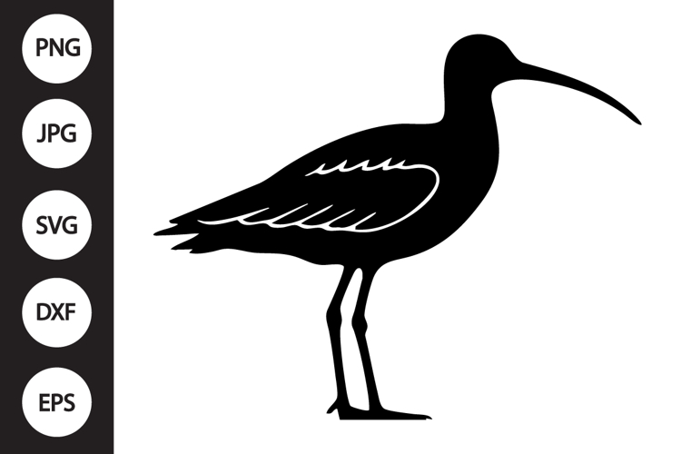 Eastern Curlew Bird SVG