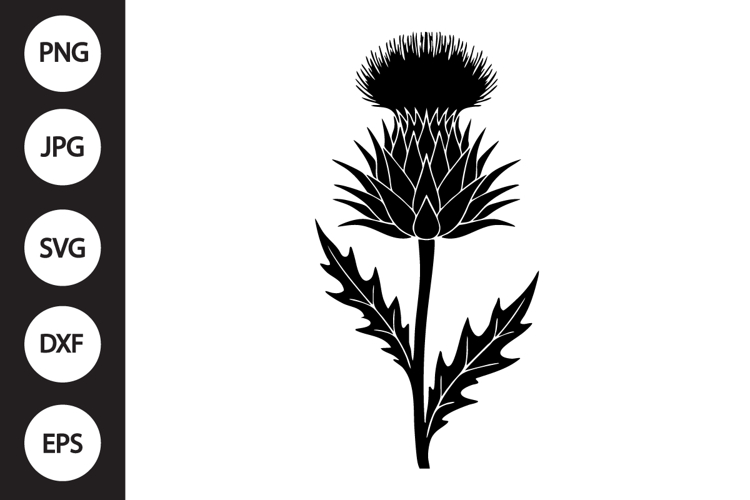 Scottish Thistle SVG example image 1