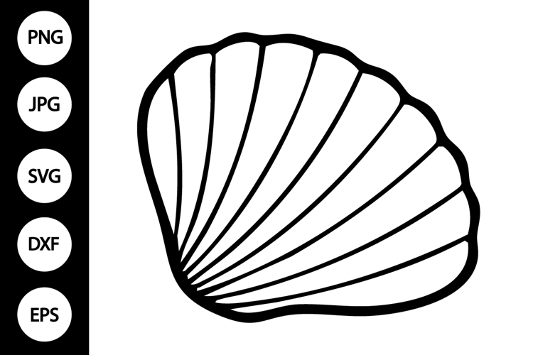 Seashell Outline SVG