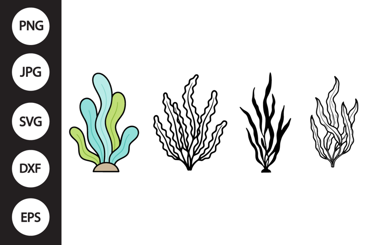Seaweed SVG, Seaweed Clipart