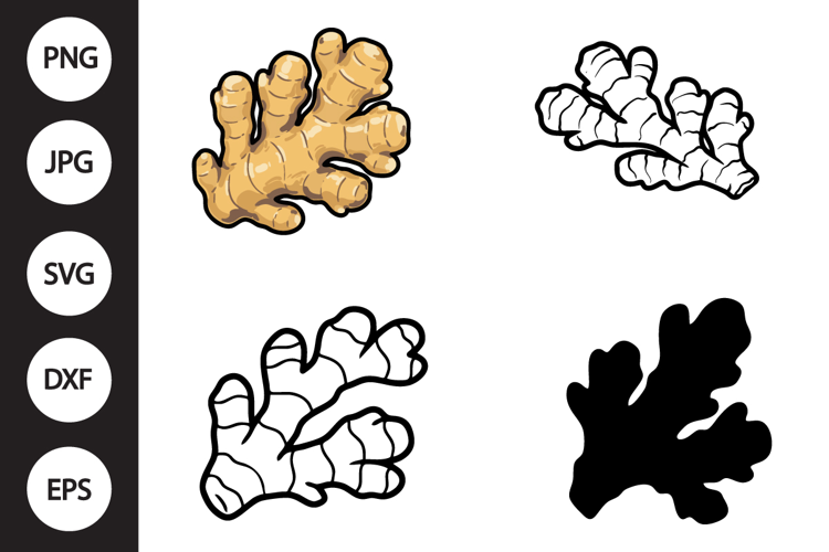 Ginger SVG, Ginger Clipart