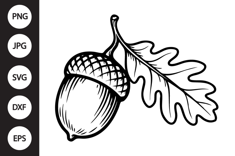 Acorn Silhouette Image 16