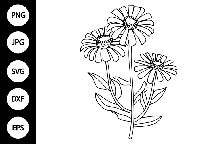 Black And White Svg Image 24