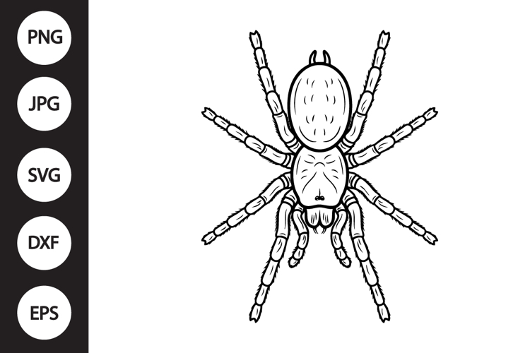 Tarantula SVG