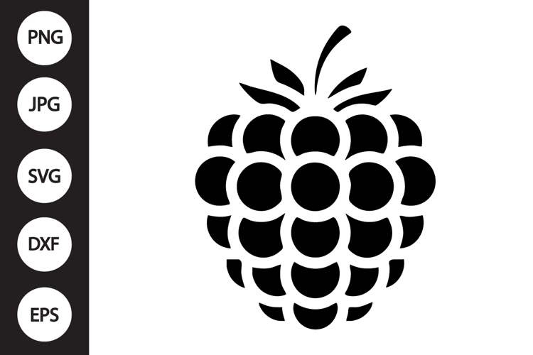 Raspberry SVG