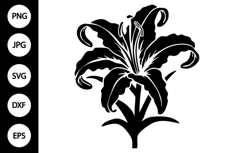 Lily Silhouette Image 10