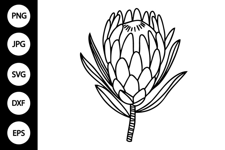 Flower Outline Clipart Image 24
