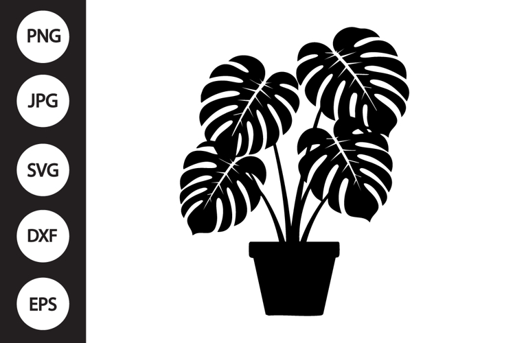 Monstera Silhouette Image 18