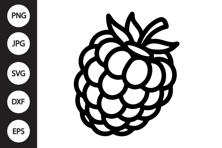Raspberry SVG