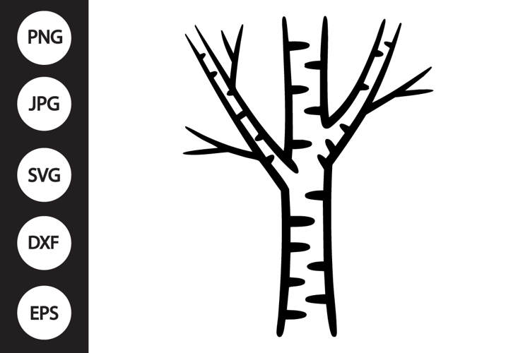 Birch Tree SVG