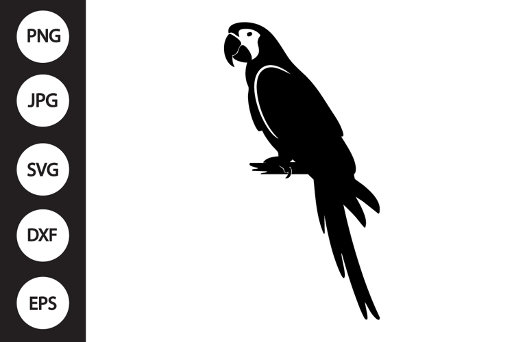 Parrot Clipart Image 2