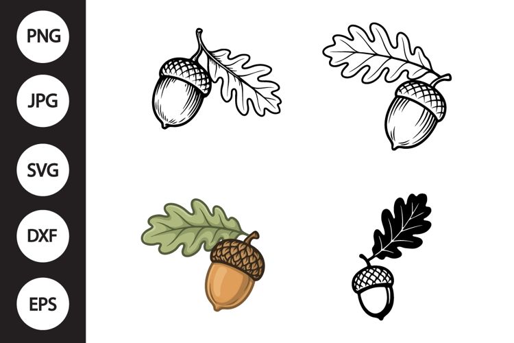 Acorn Silhouette Image 13