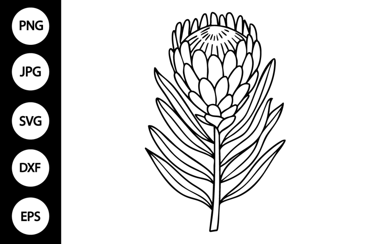 Flower Clipart Black And White Image 11
