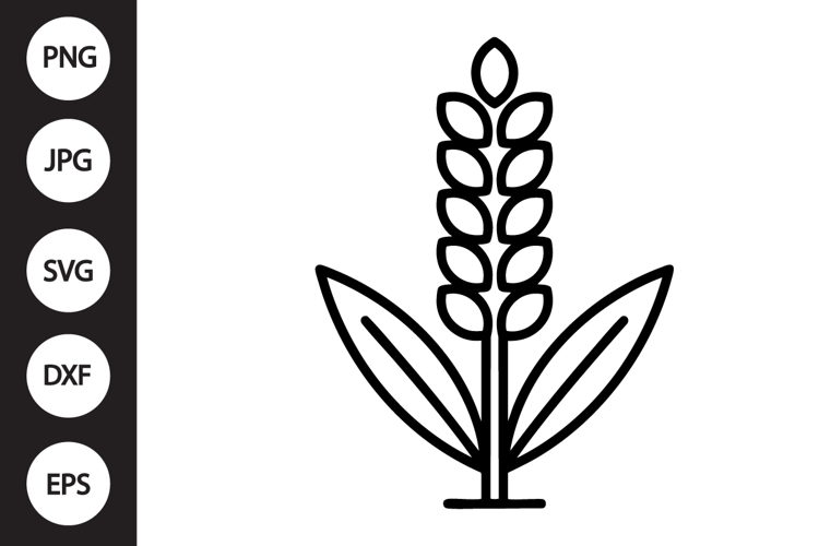 Oat SVG