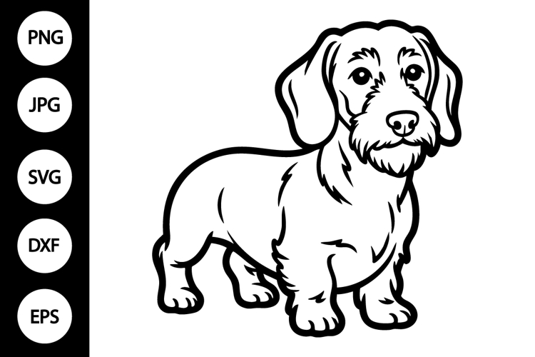 Wirehaired Dachshund Dog Outline SVG