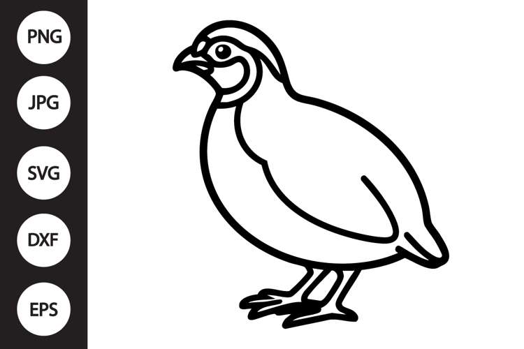 Quail Outline SVG, Coloring Page