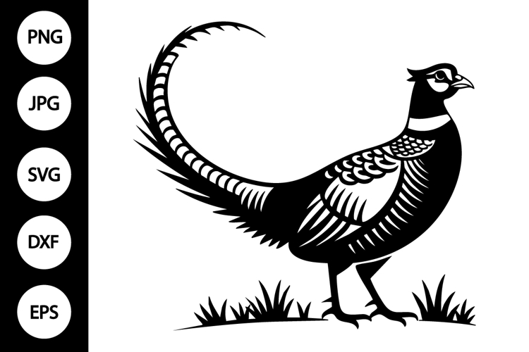 Pheasant SVG